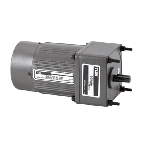 Two Pole Motor