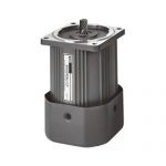 Variable Speed Motor