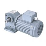 Foot Mounted Orthogonal Shaft Medium Gear Motor