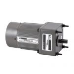 High Torque Gear Motor